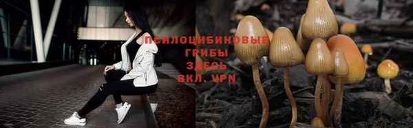 mix Верея