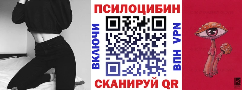 Галлюциногенные грибы Psilocybe  Черемхово 