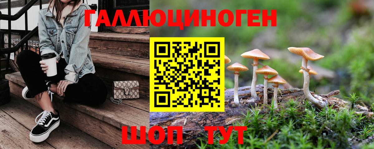 Черемхово  Галлюциногенные грибы мицелий  Псилоцибиновые грибы Magic Shrooms  Вход с VPN 