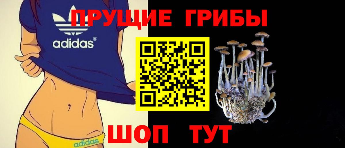 Галлюциногенные грибы Psilocybine cubensis Черемхово