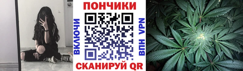 Бошки Шишки конопля  Черемхово 